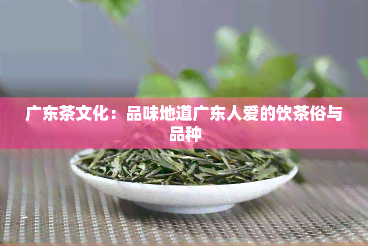 广东茶文化：品味地道广东人爱的饮茶俗与品种