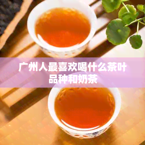 广州人最喜欢喝什么茶叶品种和奶茶