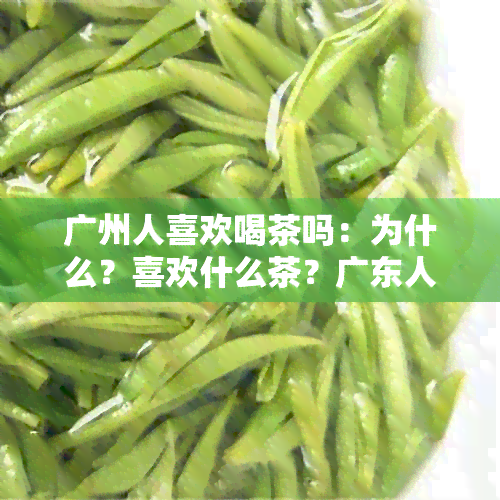 广州人喜欢喝茶吗：为什么？喜欢什么茶？广东人有多喜欢喝茶？