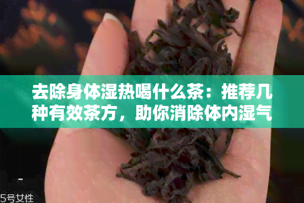 去除身体湿热喝什么茶：推荐几种有效茶方，助你消除体内湿气。