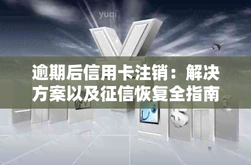 逾期后信用卡注销：解决方案以及恢复全指南