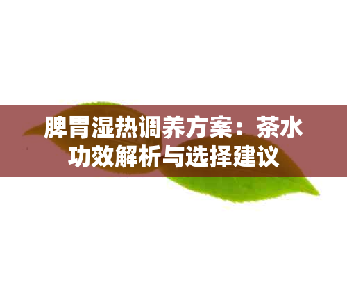 脾胃湿热调养方案：茶水功效解析与选择建议