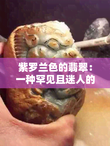 紫罗兰色的翡翠：一种罕见且迷人的宝石种类及其特点