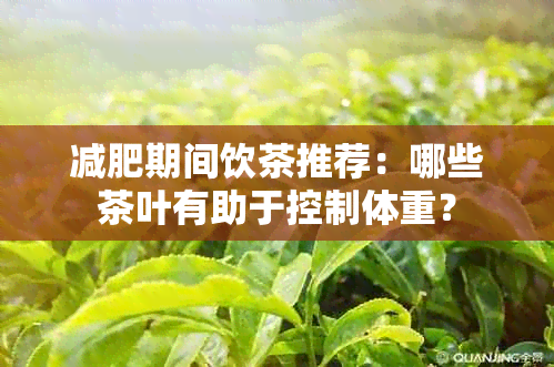 减肥期间饮茶推荐：哪些茶叶有助于控制体重？