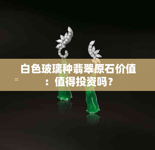 白色玻璃种翡翠原石价值：值得投资吗？