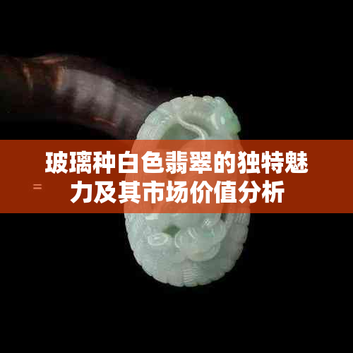 玻璃种白色翡翠的独特魅力及其市场价值分析