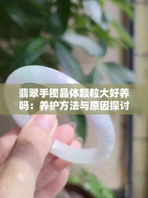 翡翠手镯晶体颗粒大好养吗：养护方法与原因探讨