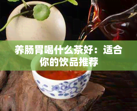 养肠胃喝什么茶好：适合你的饮品推荐