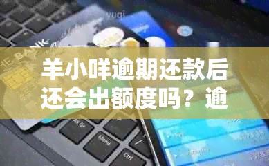 羊小咩逾期还款后还会出额度吗？逾期几天额度被冻结