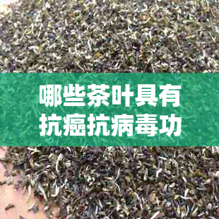 哪些茶叶具有抗癌抗病功效？了解茶的种类及其潜在健益处