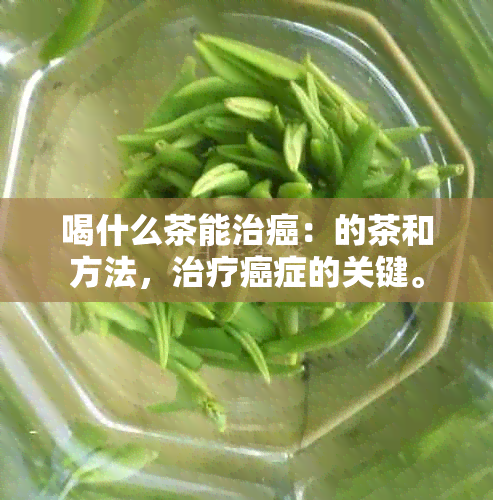 喝什么茶能治癌：的茶和方法，治疗癌症的关键。