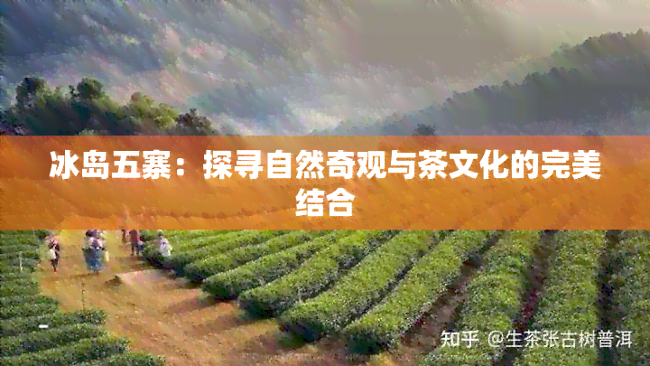 冰岛五寨：探寻自然奇观与茶文化的完美结合