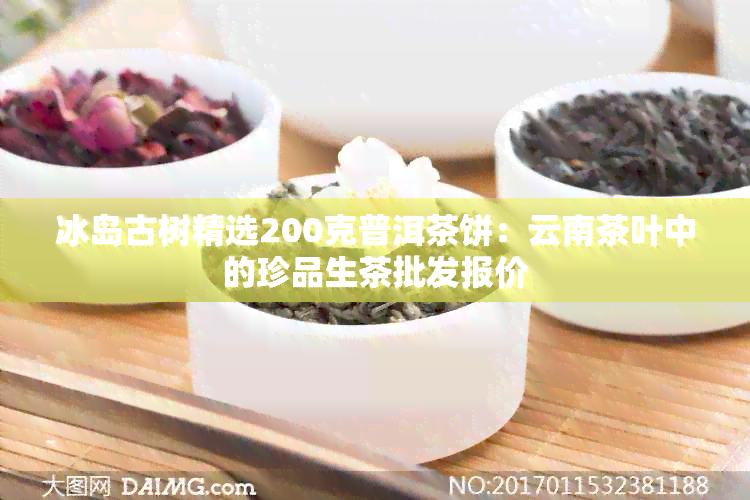 冰岛古树精选200克普洱茶饼：云南茶叶中的珍品生茶批发报价