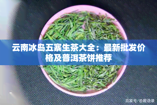 云南冰岛五寨生茶大全：最新批发价格及普洱茶饼推荐