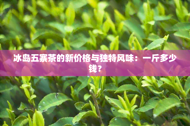 冰岛五寨茶的新价格与独特风味：一斤多少钱？