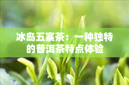 冰岛五寨茶：一种独特的普洱茶特点体验