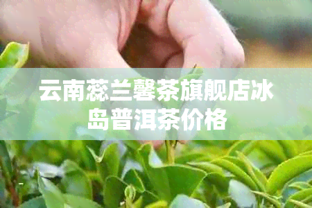 云南蕊兰馨茶旗舰店冰岛普洱茶价格