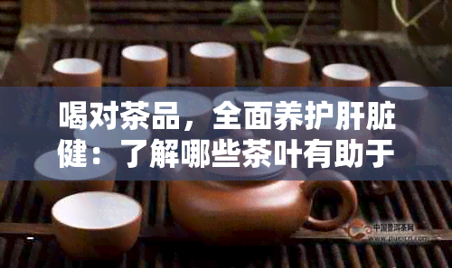 喝对茶品，全面养护肝脏健：了解哪些茶叶有助于养肝护肝