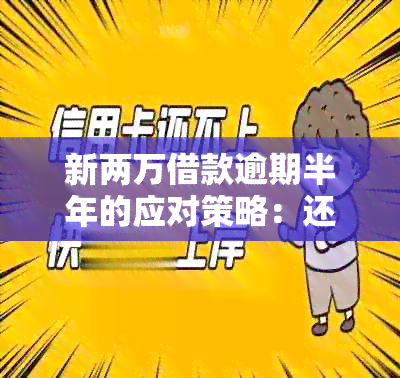 新两万借款逾期半年的应对策略：还款无力怎么办？