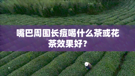 嘴巴周围长痘喝什么茶或花茶效果好？