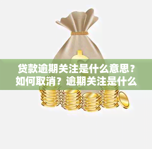 贷款逾期关注是什么意思？如何取消？逾期关注是什么情况？