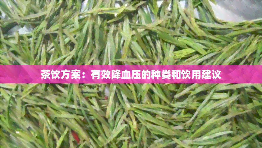 茶饮方案：有效降血压的种类和饮用建议