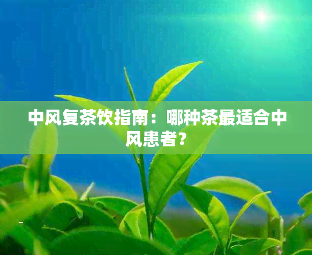 中风复茶饮指南：哪种茶最适合中风患者？