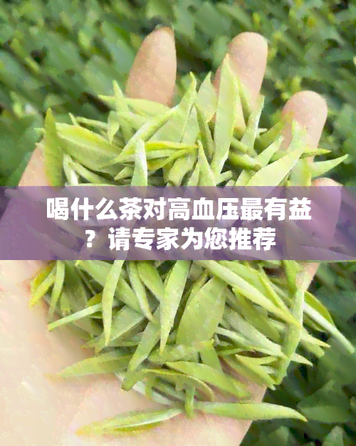 喝什么茶对高血压最有益？请专家为您推荐