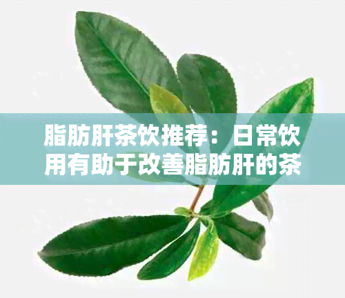 脂肪肝茶饮推荐：日常饮用有助于改善脂肪肝的茶种类及功效解析