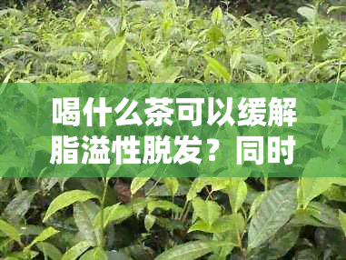 喝什么茶可以缓解脂溢性脱发？同时推荐有效的治疗方法和护理建议。