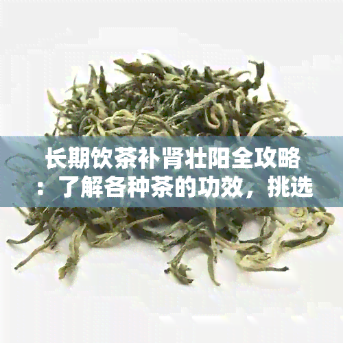 长期饮茶补肾壮阳全攻略：了解各种茶的功效，挑选最适合你的茶品