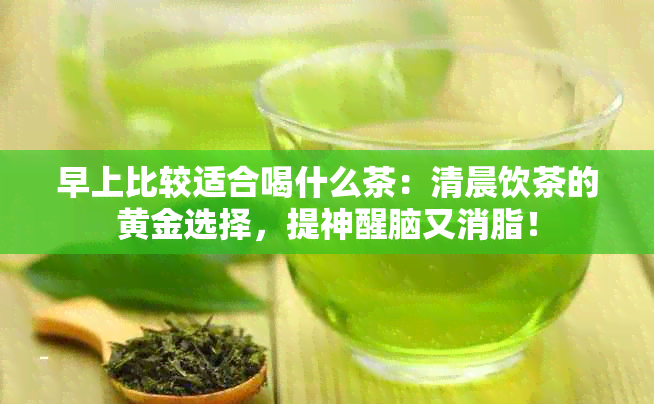 早上比较适合喝什么茶：清晨饮茶的黄金选择，提神醒脑又消脂！