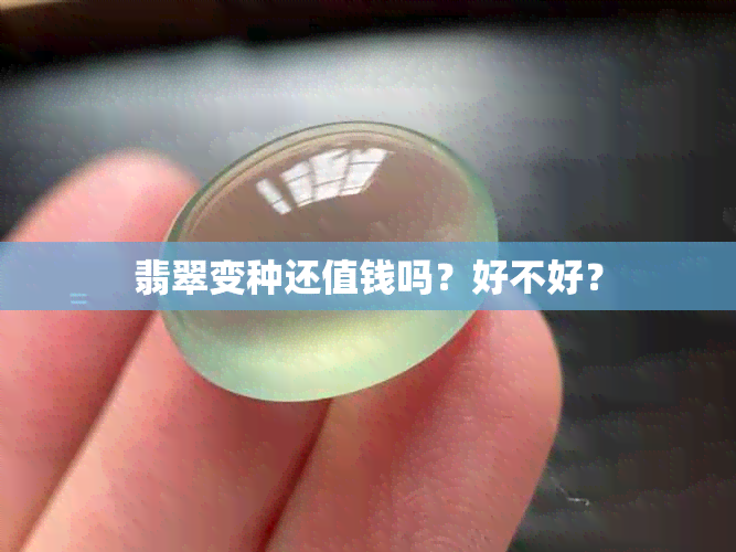 翡翠变种还值钱吗？好不好？