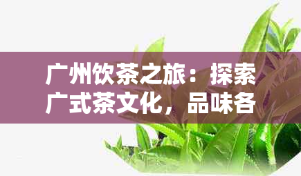 广州饮茶之旅：探索广式茶文化，品味各种特色茶饮及其功效