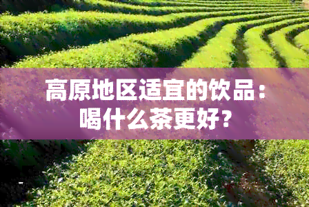 高原地区适宜的饮品：喝什么茶更好？