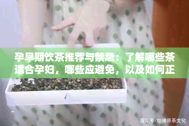 孕早期饮茶推荐与禁忌：了解哪些茶适合孕妇，哪些应避免，以及如何正确饮用