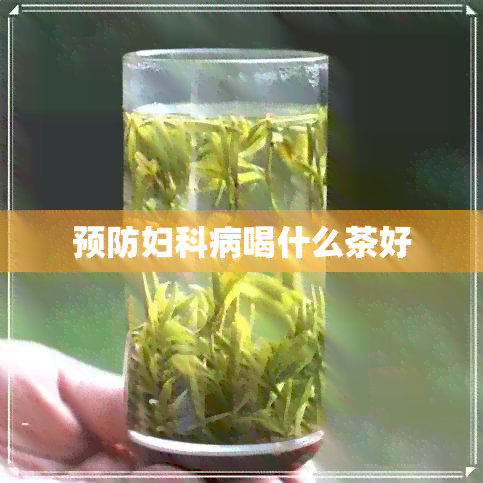 预防妇科病喝什么茶好