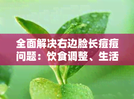 全面解决右边脸长痘痘问题：饮食调整、生活惯改变和有效治疗方法推荐