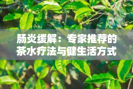 肠炎缓解：专家推荐的茶水疗法与健生活方式