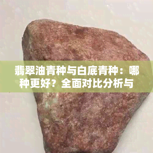 翡翠油青种与白底青种：哪种更好？全面对比分析与选择建议