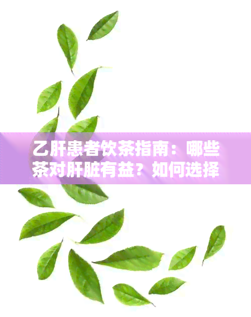 乙肝患者饮茶指南：哪些茶对肝脏有益？如何选择合适的茶品？