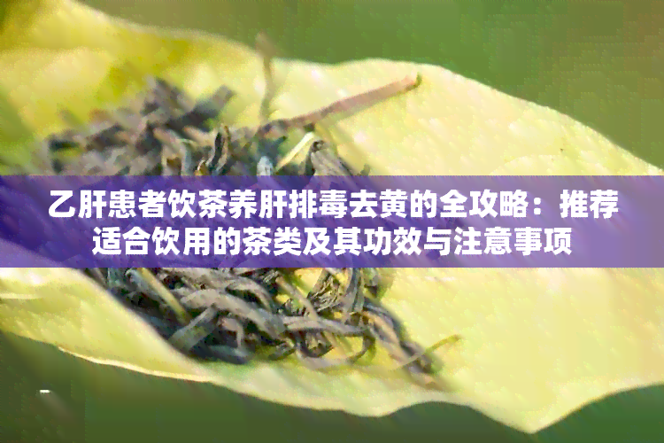 乙肝患者饮茶养肝排去黄的全攻略：推荐适合饮用的茶类及其功效与注意事项