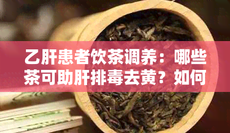 乙肝患者饮茶调养：哪些茶可助肝排去黄？如何选择与饮用？