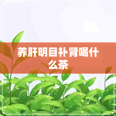 养肝明目补肾喝什么茶