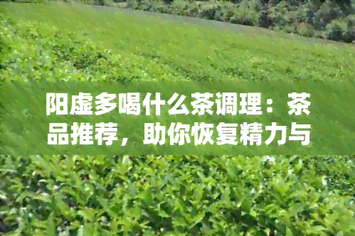 阳虚多喝什么茶调理：茶品推荐，助你恢复精力与活力