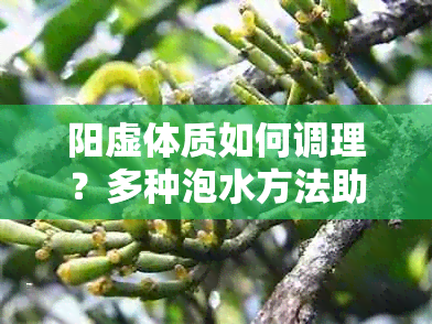 阳虚体质如何调理？多种泡水方法助你恢复健