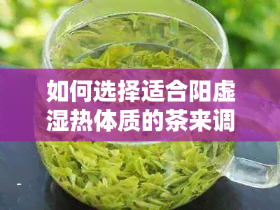 如何选择适合阳虚湿热体质的茶来调理身体？