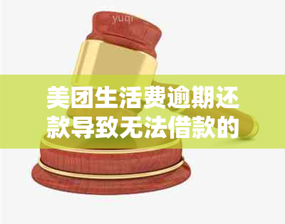 美团生活费逾期还款导致无法借款的原因及解决办法