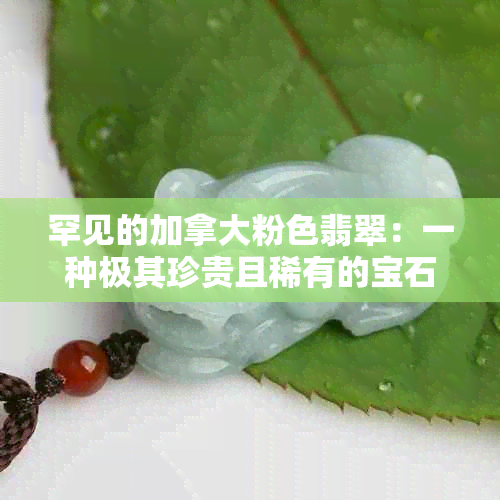 罕见的加拿大粉色翡翠：一种极其珍贵且稀有的宝石收藏品