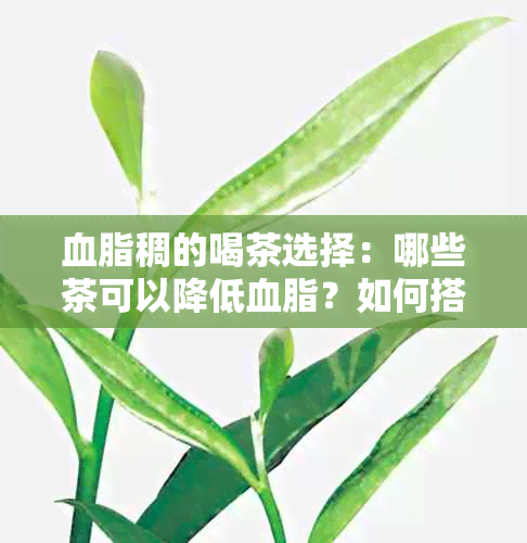 血脂稠的喝茶选择：哪些茶可以降低血脂？如何搭配饮食更有效？